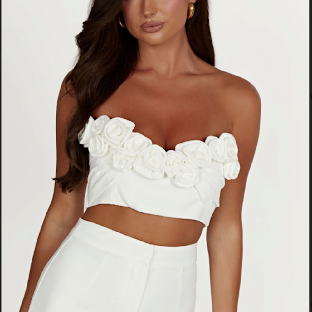 ❤️Meshki Paloma Rose Crop Top NWOT